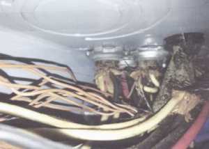 Cloth wiring insurance 
